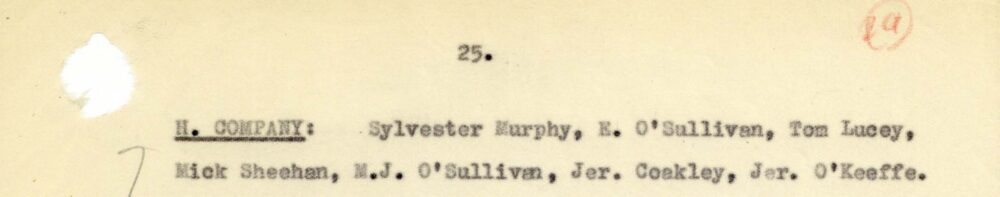 A4 3 1 Battalion 4 Cork Brigade 30